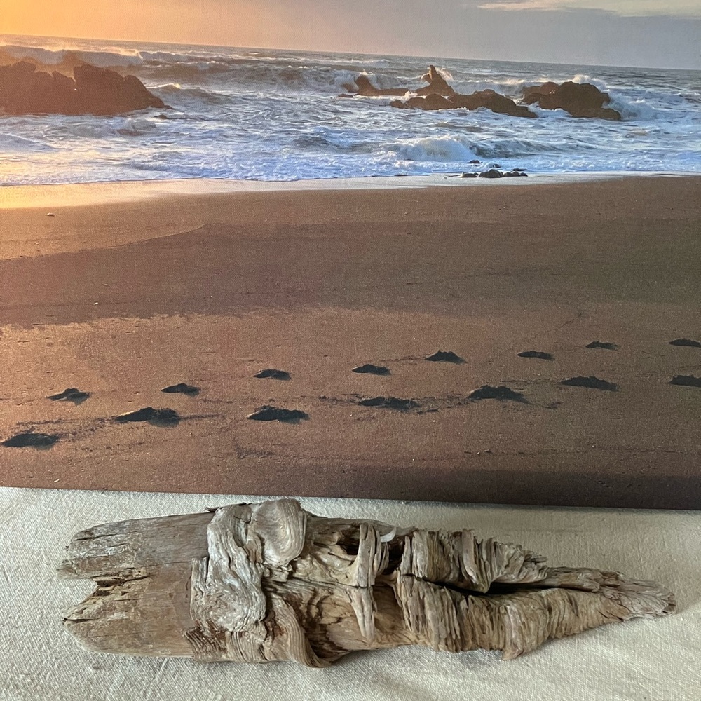 Driftwood River Knot